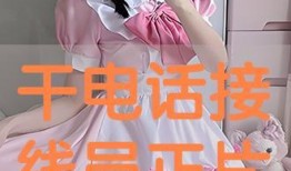 干中国接线员在线观看,在线服务背后的真实故事